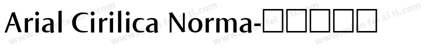 Arial Cirilica Norma字体转换